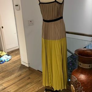 pleated BCBG gorgeous dress